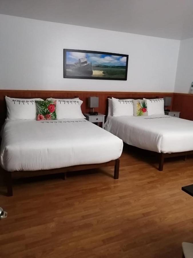 Hotel Fleurs Karaibes Saint-Alexandre-de-Kamouraska Bagian luar foto
